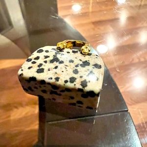Gemstone Purse Dalmation  Jasper.